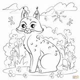 Coloring Bobcat Pages Printable Supercoloring Bobcats Cartoon Categories sketch template