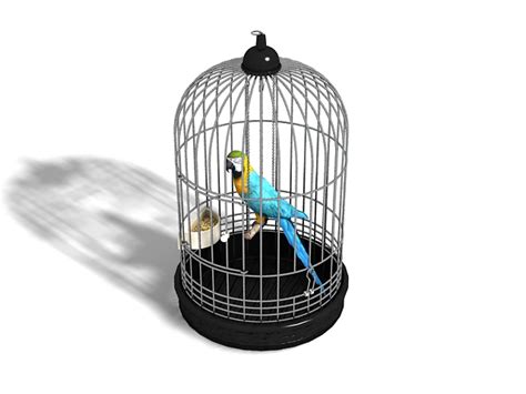 parrot bird cage  model ds max files   modeling   cadnav