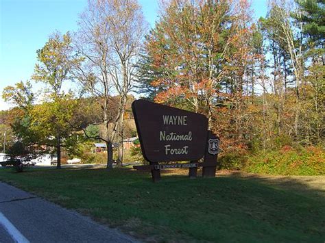 wayne national forest wiki everipedia