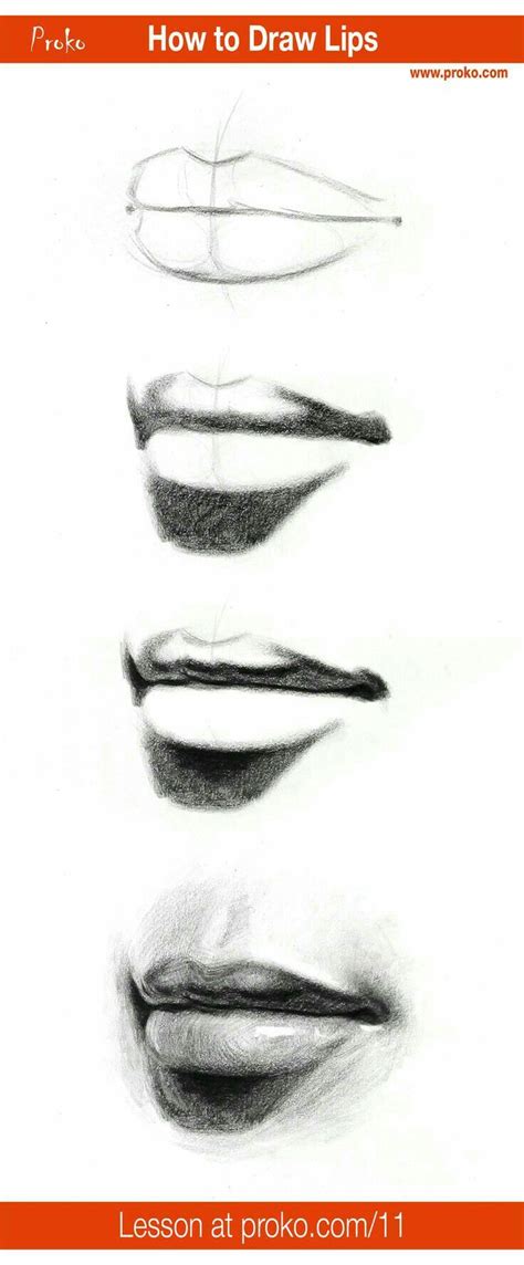 pin  anthea fourie  black  white paintings draw realistic lips