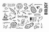 Biology Biologie Deckblatt Biologia Chromosome Doodles Portadas Biología Hallo Dots Pepper Wissenschaft Druckbare Quimica Zelle Navštíviť Symbole Garabatos Drawingfusion Ciencia sketch template