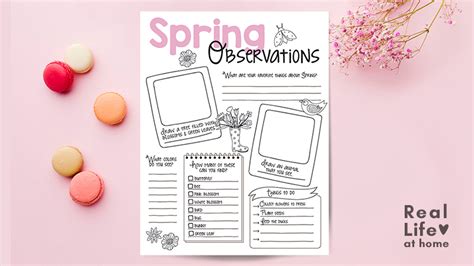 nature study observation sheets    seasons