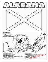 Coloring Alabama Pages State Flower Symbols Louisiana Flag States Book Activity Bird Tree Kids United Sheets Facts Game Printable Popular sketch template