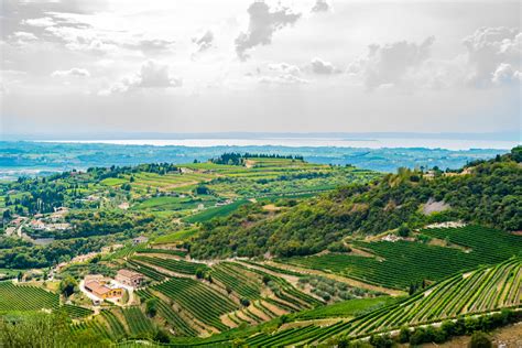 valpolicella wine tasting experience tourist journey