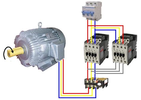 wiring diagram star delta connection   phase induction motor electrical world wiring