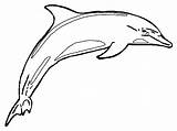 Dolphin Cliparts Coloring Pages Clipart Printable Kids Favorites Add sketch template