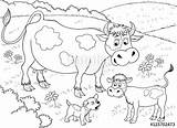 Cow Calf Coloring Pages Drawing Silhouette Roper Farm Cute Getdrawings Color Getcolorings Mother sketch template