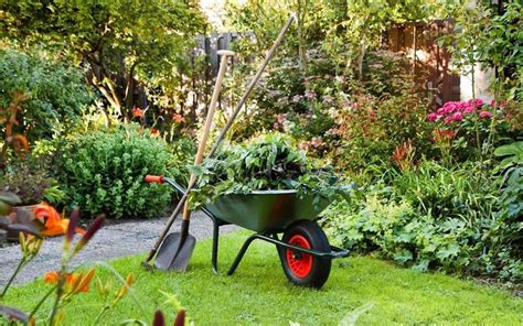 benefit  gardening improving  mental health  telegraph