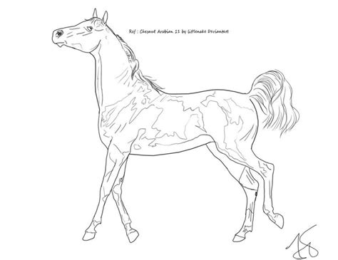 lineart   zoecormerais  deviantart horse coloring pages horse