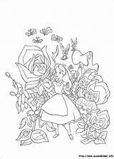 Alice Wonderland Wunderland Ausmalbilder Drucken sketch template