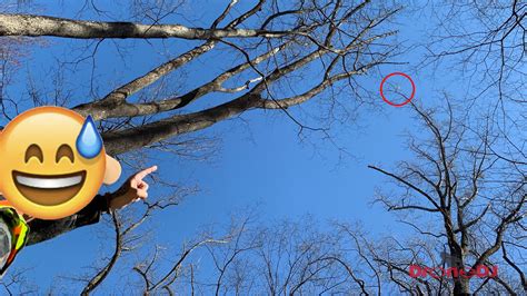 drone rescue operation  dji phantom  stuck  tall oak trees