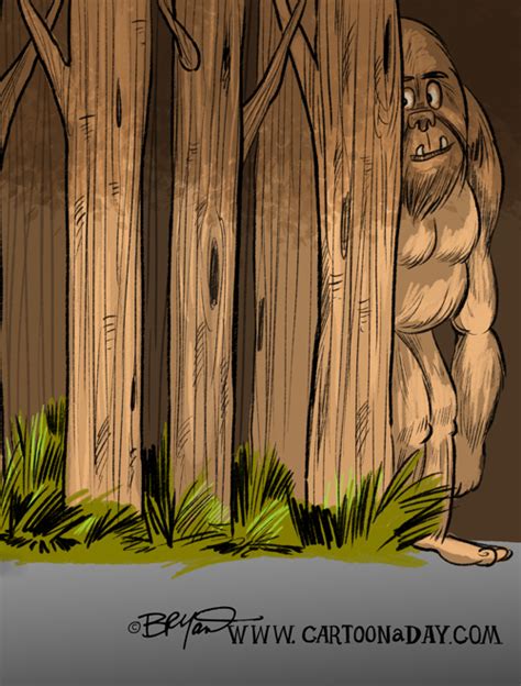 Woman Claims To Have Seen Sasquatch Cartoon