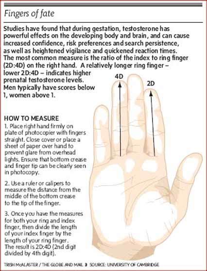 Finger Length Ratio 2d 4d Associated With Traffic Violations For Male
