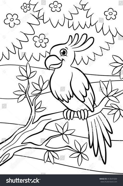 coloring pages birds  cute parrot sits   branch  smiles