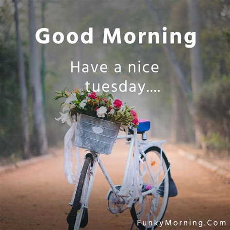 tuesday good morning images  pics hd