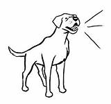 Barking Bark Cliparts Clipartbest sketch template