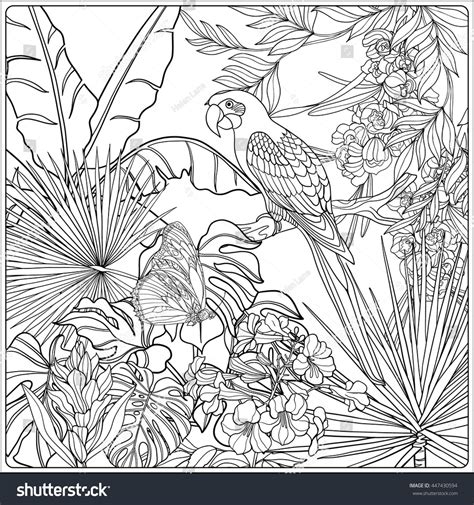 coloring page  tropical plants  birds