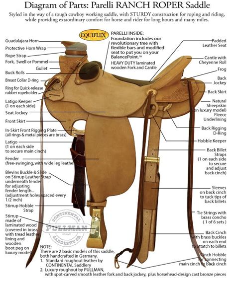 diagram  western saddle parts saddles bridles tack pinterest westerns saddles