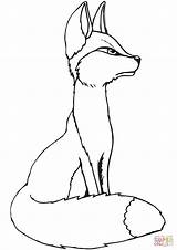 Coloring Fox Pages Red Young Printable Drawing sketch template