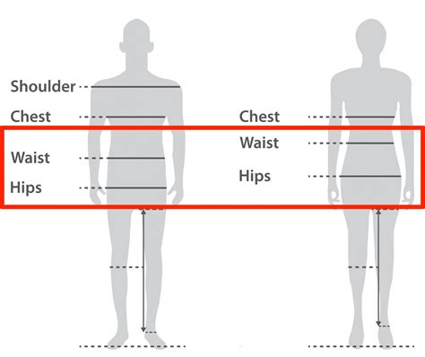 Body Feminization Surgery Hip Augmentation 2pass Clinic