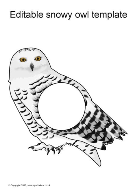 editable snowy owl templates sb sparklebox