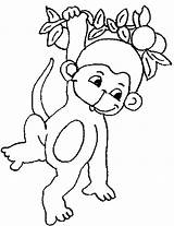 Monkey Coloring Pages Hanging Tree Baby Kids Cute Drawing Clipart Monkeys Printable Sheets Print Chubby Color Safari Animals Sheet Size sketch template
