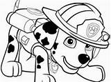Marshall Truck Fire Coloring Paw Patrol Divyajanani sketch template