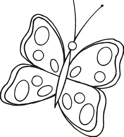 cartoon butterfly coloring page david simchi levi