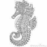 Seahorse Zentangle Stylized Cartoon Vector Coloring Adult Drawn Sketch sketch template