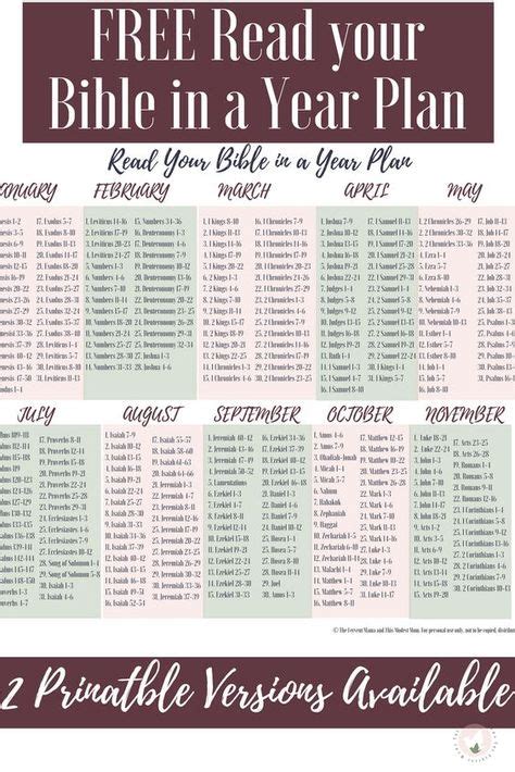 printable    successfully read  bible   year