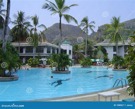 thailand resort stock image image  forest poolside