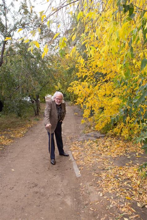 Old Man In Autumn Forest Stock Image Image Of Indian 198934375