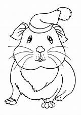 Guinea Pig Coloring Pages Printable sketch template