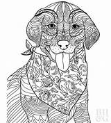 Labrador Furry Onecms Weiner Retriever Animal sketch template