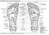 Reflexology Foot Chart Charts Plantar Practitioners Hand Study Reflex Students Healing Bw sketch template