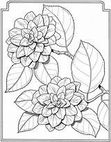 Coloring Flowers Pages Book Flower Adult Dover Sheets Colouring Adults Para Floral Drawing Language Dibujos Printable Publications Engraving Laser Drawings sketch template