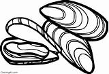 Mussel Mussels Coloringall sketch template