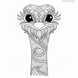 Emu Templates sketch template
