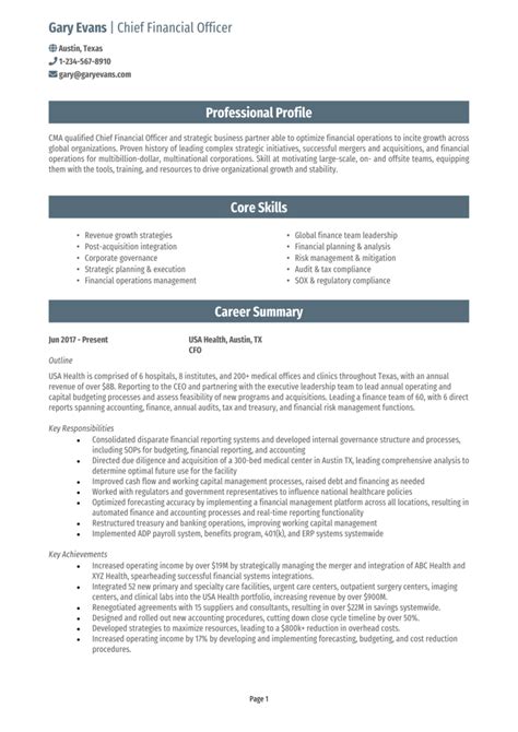 cfo resume  guide  resume template