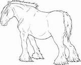 Horse Coloring Draft Pages Horses Clydesdale Outline Drawing Getdrawings Printable Color Getcolorings Drawings Template sketch template