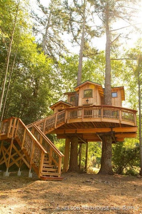 guides  astuces de bricolage maison dans les arbres modeles de maison de larbre  maison bois