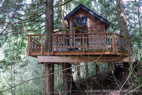 pin  nelson treehouse  tree house tree house cool tree houses building  treehouse