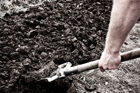 digging   work week sales pro insider