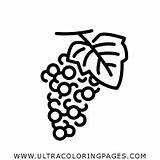 Uvas Trauben Ultracoloringpages sketch template
