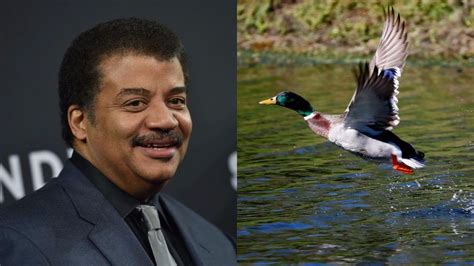 twitter calls out neil degrasse tyson for a dumb tweet