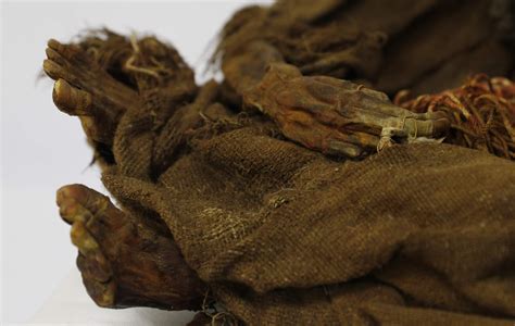 year  mummy  incan girl returns  bolivia  archaeology news network