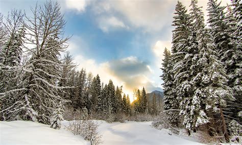 bilder natur winter schnee himmel waelder baeume