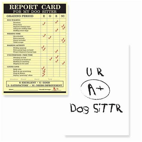 dog daycare report card