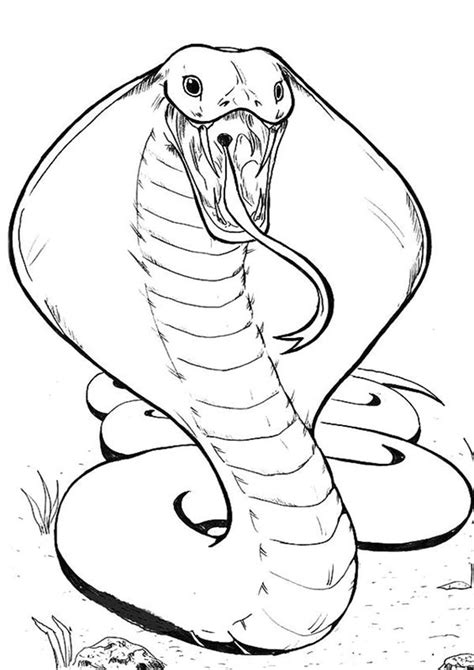 easy  print snake coloring pages snake coloring pages snake
