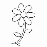 Daisy Outline Drawing Flower Simple Drawings Draw Clipartmag Paintingvalley sketch template